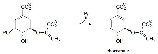 Aromatic amino acid with PO group and one double bond goes to chorismate (no PO substituent and two double bonds). Arrow indicates leaving PI.