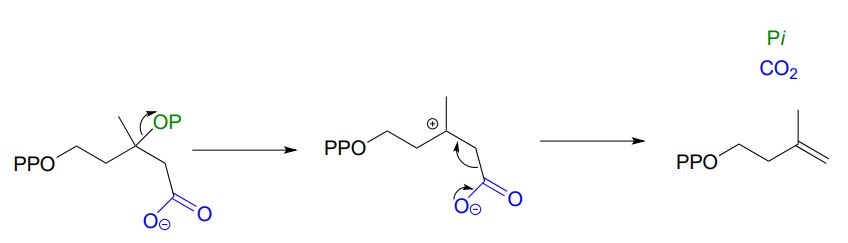 Molécula inicial: Difosfato de isopentenilo. OP deja y forma un catión. Flecha de O- a carbonilo. Flecha del carbonilo al catión. Productos: alqueno, CO2 y PI.