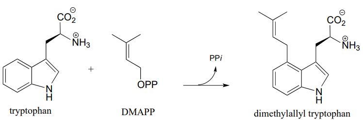 Triptófano más DMAPP se combinan para formar dimetilaliltriptófano. La flecha indica pérdida de PPI.