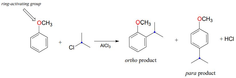 Reactants are benzene with OCH3 substituent and 2-chloroproane. Text pointing to OCH3: ring-activating group. React with ALCL3 to form benzene with OCH3 and isopropyl substituents. Ortho product: isopropyl is on carbon next to OCH3 group. Para product: isopropyl is on the carbon opposite of OCH3. HCL is another product.  