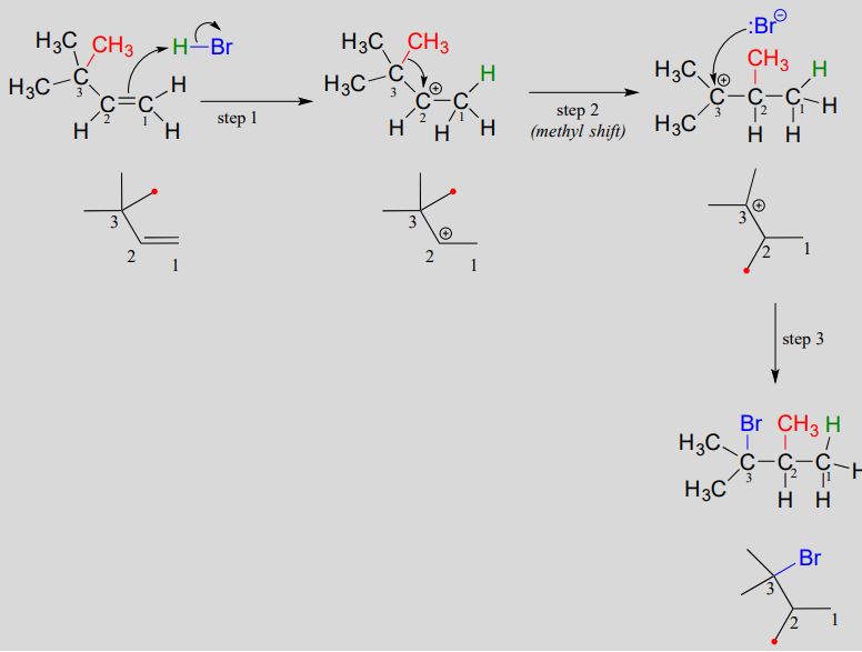Step 1: Arrow from double bond between carbons to hydrogen on HBR to form carbocation intermediate. Step 2: Arrow from methyl group on carbon 2 positive charge on carbon 2. Text: methyl shift. Step 3: Arrow from BR- to positive charge on carbon 3 to form product. 