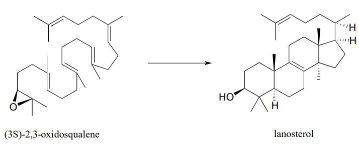 Lado izquierdo de la flecha: molécula de (3S) -2,3-oxidoescualeno. Lado derecho de la flecha: molécula de lanosterol.
