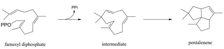 Farnesyl diphosphate loses a PPI to form an intermediate. This forms pentalenene. 