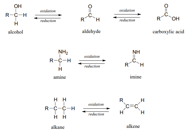 Alcohol oxidizes into aldehyde. Aldehyde reduces into alcohol. Aledhyde oxidizes into carboxylic acid. Carboxylic acid reduces into aldehyde. Amine oxidizes into imine. Imine reduces to amine. Alkane oxidizes into alkene. Alkene reduces into alkane. 