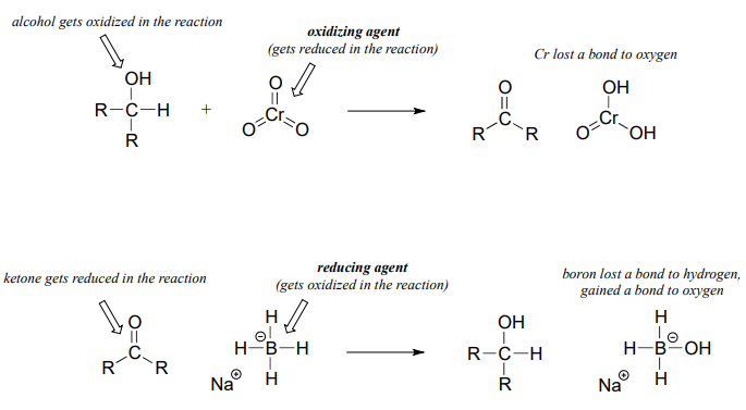 The first reaction hasl alcohol getting oxidized and chromium tiroxide is the oxidizing agent. In the product, chromium loses a bond to oxygen. In the second reaction ketone get reduced and sodium borohydride is the reducing agent. In the product, boron lost a bond to hydrogen and gained a bond to oxygen. 