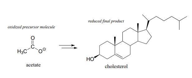 El acetato es la molécula precursora oxidada y el colesterol es el producto final reducido.