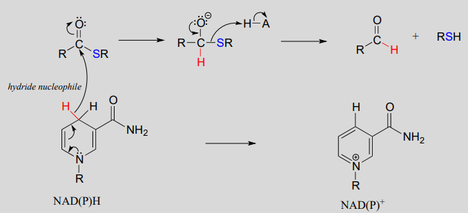 There is a hydride nucleophile. 