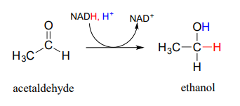 Acetaldehyde reacts with NADH and H plus to produce NAD plus and ethanol. 