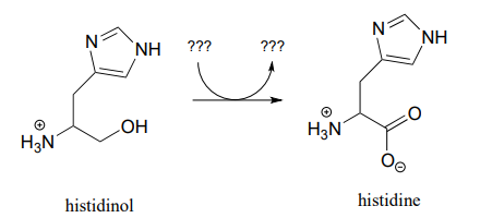 El histidinol reacciona con qué producir histidina.