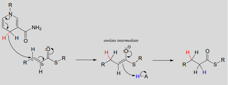 An enolate intermediate is formed. 