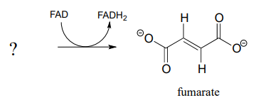 What reacts with FAD to produce FADH2 and fumarate. 