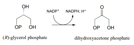 (R)-glycerol phosphate reacts with NADP plus to produce NADPH, H plus, and dihydroxyacetone phosphate. 