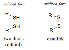 La forma reducida es de dos tioles (ditiol). La forma oxidada es disulfuro.