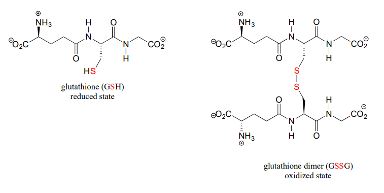 Bond line drawings of glutathione (GSH) which is the reduced state and glutathione dimer (GSSG) with is the oxidized state. 