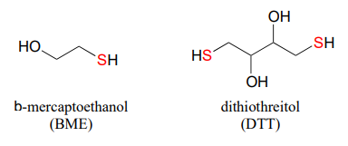 Bond line drawings of b-mercaptoethanol (BME) and dithiothreitol (DTT). 