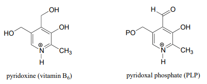 Bond line drawings of pyridoxine (vitamin B6) and pyridoxal phosphate (PLP).