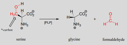 La serina reacciona con PLP para producir glicina y formaldehído.