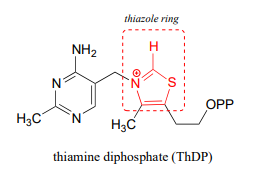 Bond line drawing of thiamine diphosphate (ThDP) with the thiazole ring circled and highlighted in red. 