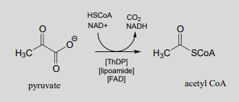 Pyruvate reacts with ThDP, lipoamide, FAD, HSCoA, and NAD plus to produce carbon dioxide, NADH, and acetyl CoA. 
