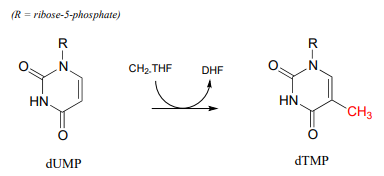 El dUMP reacciona con CH2-THF para producir DHF y dTMP.