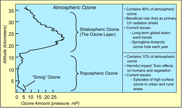 La zona troposférica de la atmósfera contiene 10% del ozono terrestre que puede ser tóxico para los humanos y la vegetación. La zona estratosférica contiene 90% del ozono y es beneficiosa al actuar como un escudo contra la radiación UV del Sol.