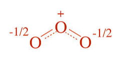 The center oxygen in ozone carries a positive charge while being equally single and double bonded to the other oxygens. This gives them a minus one half charge.