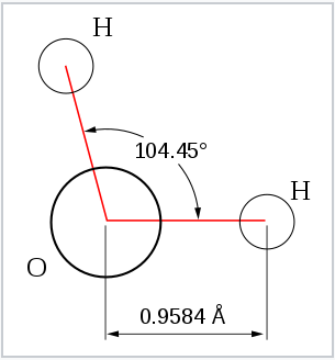 Hydrogen atoms of the water molecule are separated by 104.5 degrees.