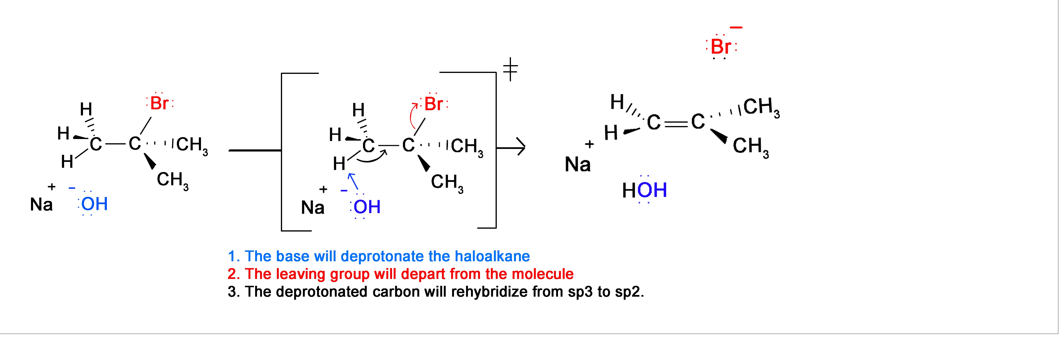 The base will deprotonate the haloalkane. the leaving group will depart from the molecule. The deprotonated carbon will rehybridize from s p 3 to s p 2. 