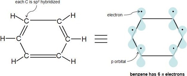 Each carbon in benzene is s p 2 hybridized which means that benzene has six pi electrons. 