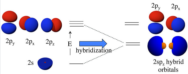 La hibridación lineal de orbitales resulta en orbitales iguales de energía 2 p z que son más energía que los orbitales de 2 s pero menor energía que los orbitales de 2 p.