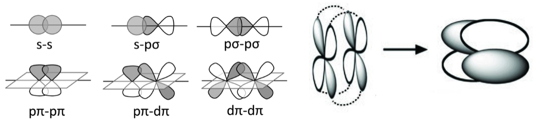 Los enlaces sigma son enlaces en los que los orbitales se superponen directamente, como se ve en los orbitales s-s, s p (z) y p (z) -p (z). Los enlaces Pi involucran orbitales con solapamiento lateral como se muestra con orbitales p (y) - p (y). Ambos orbitales apuntan hacia arriba y son capaces de superponerse uno al lado del otro. Superposición similar ocurre en orbitales p (y) - d (y z) y d (y z) - d (y z).