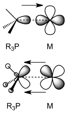 La órbita s de fósforo de la fosfina se solapa con la órbita d de un metal de transición. El orbital p del fósforo también es capaz de superponerse con un orbital d separado del metal de transición.