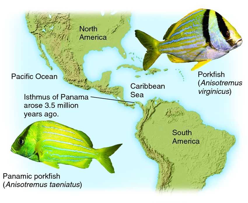 Speciation - Chemistry LibreTexts