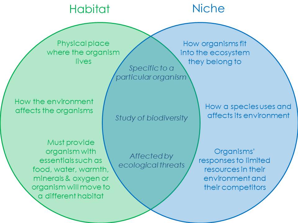habitat-vs-niche2_574497ce6c328.jpg