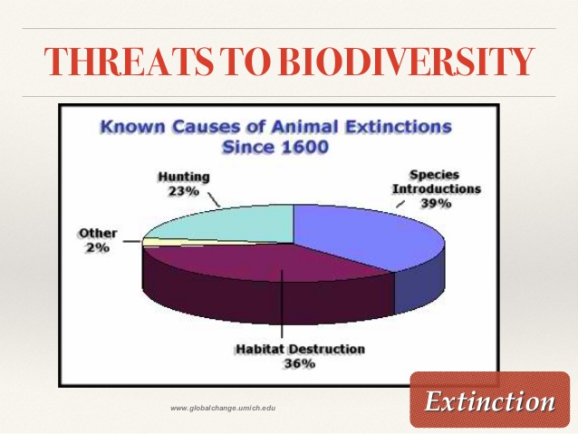 biodiversity-definition-levels-and-threats-25-638_574721ed1149e.jpg