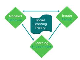 Social_Learning_3.jpg