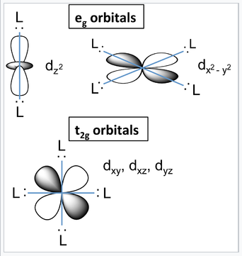 Diferencia entre orbitales E g y orbitales T 2 g. E g orbitales contienen d z cuadrado y d x cuadrado - y cuadrado y hay superposición con el metal. T 2 g orbitales contienen d x z, d x y y d y z y no hay solapamiento con el metal.