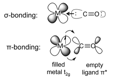 Difference between sigma and pi bonding. Example of sigma bond on top: Head-to-head overlap between the orbitals of the metal and the carbon. Example of pi bond on bottom: Covalent bonding that results in lateral overlap between the orbitals of the metal and the carbon atom.