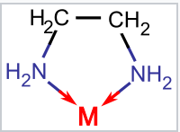 Molécula de etilendiamina. Dos grupos C H 2 unidos entre sí. Un grupo N H 2 unido a cada C H 2. Un metal unido a los dos grupos N H 2 para formar un anillo de cinco miembros.