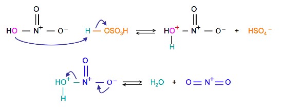 Mechanism showing sulfuric acid activating nitric acid. 