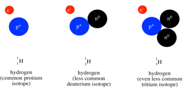 Cartoons of 1-hydrogen, deuterium, and tritium.