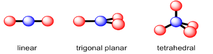 Three molecular shapes: linear, trigonal planar, and tetrahedral.
