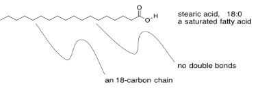 Estructura de la línea de unión del ácido esteárico, una cadena insaturada de 18 carbonos.