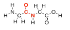 Un dipéptido con el enlace peptídico resaltado en rojo.