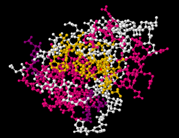 A ball-and-stick model of a protein. Each atom is color-coded to show distinction.