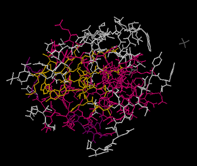 A wireframe model of a protein, with different atoms color coded to show distinction.