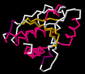 A backbone drawing of a protein. Different chains are color coded to show distinction.