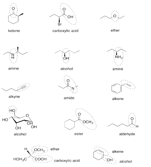 Respuestas al Ejercicio 4.12.13, mostrando varios grupos funcionales orgánicos etiquetados.