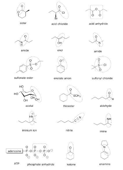Respuestas al Ejercicio 4.12.14, mostrando varios grupos funcionales orgánicos etiquetados.