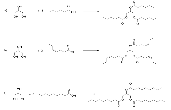 Respuestas al Ejercicio 4.13.1, de la a a la c, mostrando esterificación de glicerol.